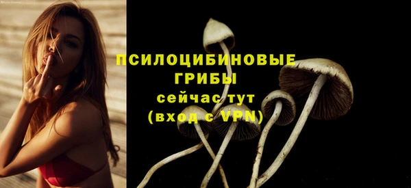 гидропоника Арсеньев